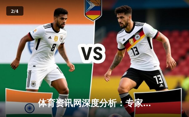 体育资讯网深度分析：专家解读 - 2